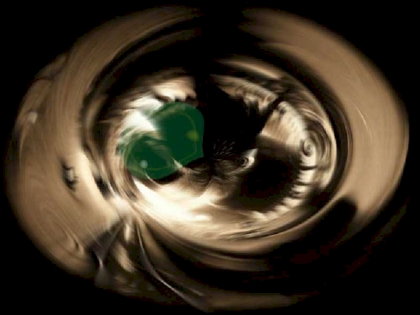 wolf_eye.jpg (137224 bytes)